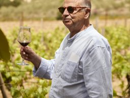 Festival Mar de Tethys 2026 - Bodega Vetas